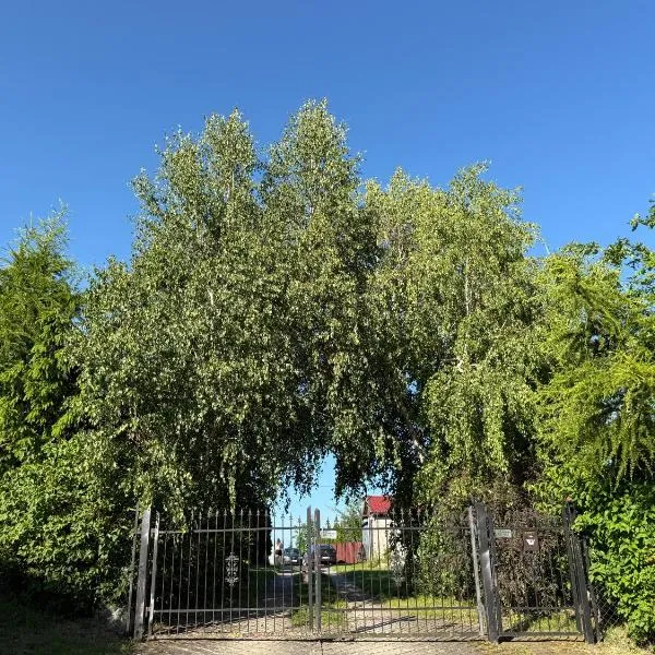 U Magdy nad Tałtami I，位于Tałty的酒店