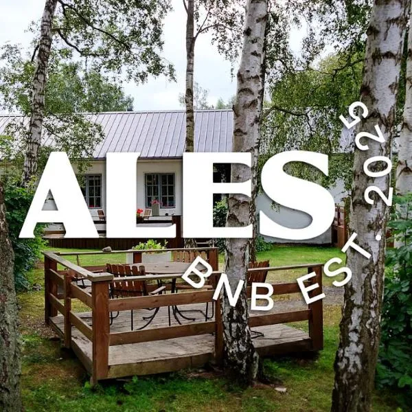 Ales BnB，位于Löderup的酒店