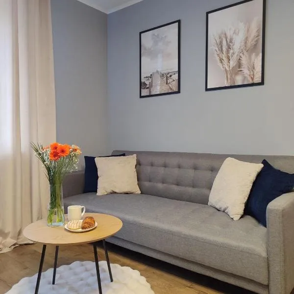 Kosmonaudi Apartment，位于纳尔瓦的酒店