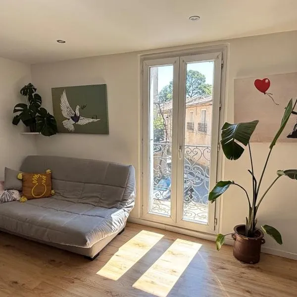 Appartement familial centre Saint-Georges d'Orques，位于圣乔治多尔克的酒店