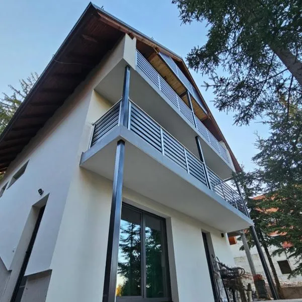 Apartman Flora Vlasic，位于弗拉西克的酒店