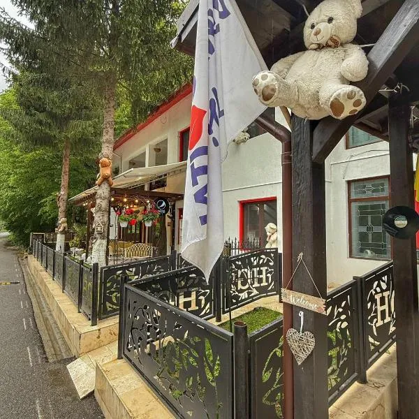 Hotel Gâlma，位于莫罗埃尼的酒店