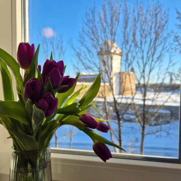 Apartment with Narva Castle view，位于纳尔瓦的酒店