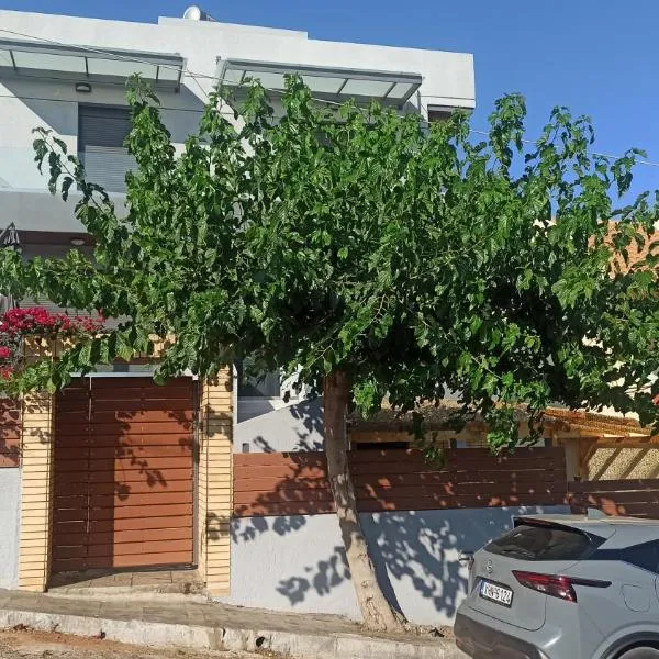 Schinias Hill Mike's Appartments，位于Panayía Mesosporítissa的酒店