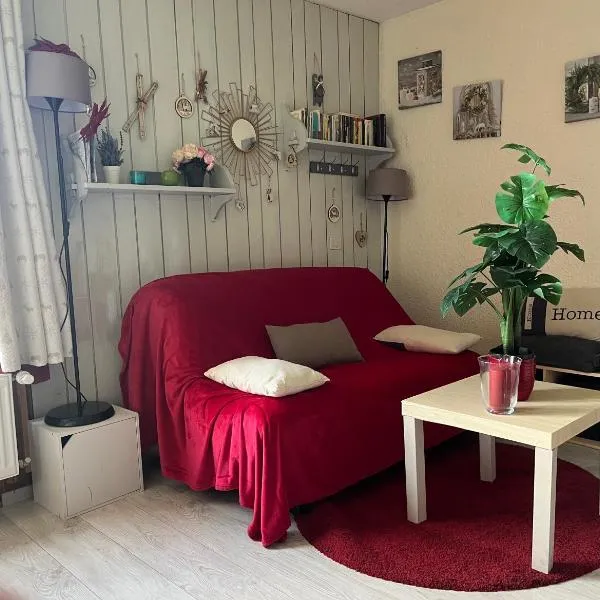 au Bonheur - Praloup 1600 - Au cœur de la station et au pied des pistes - La voile des neiges - parking commun privé - local ski，位于普华露的酒店