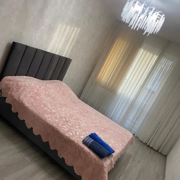 Квартира посуточно，位于伊兹梅尔的酒店