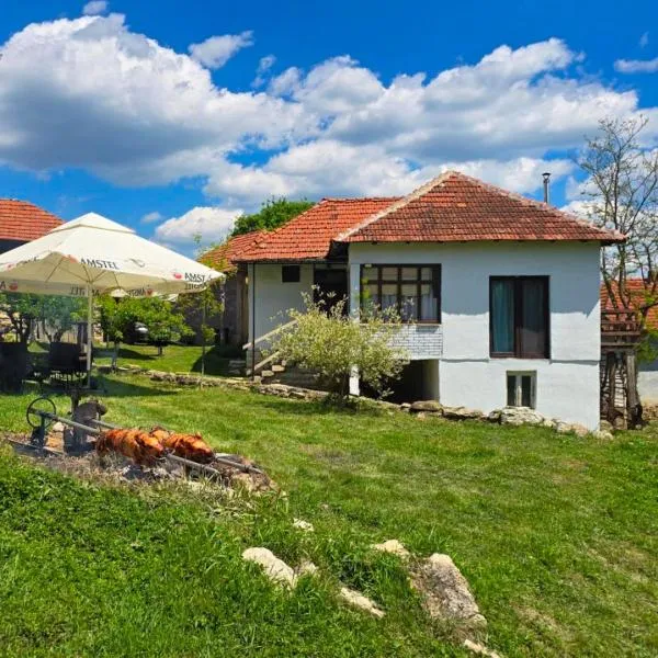 Etno smeštaj Stojadinović，位于Svrljig的酒店