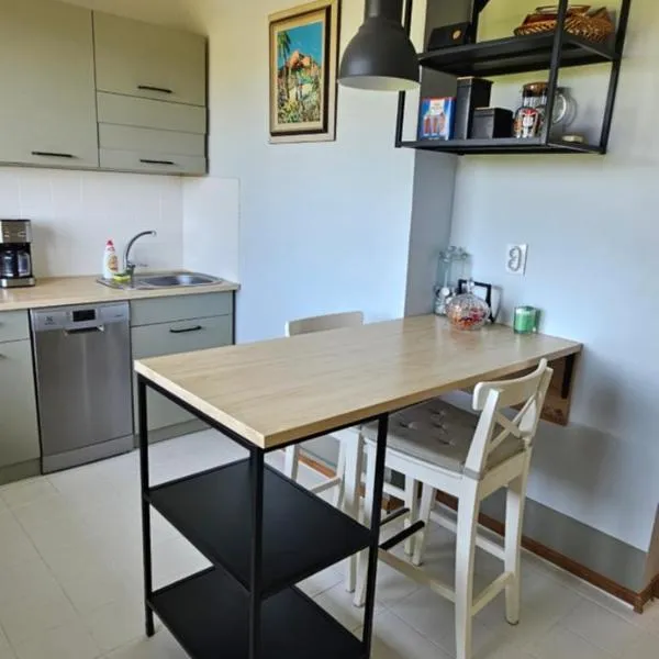 Viscosa Holiday Apartment，位于Kõrgessaare的酒店