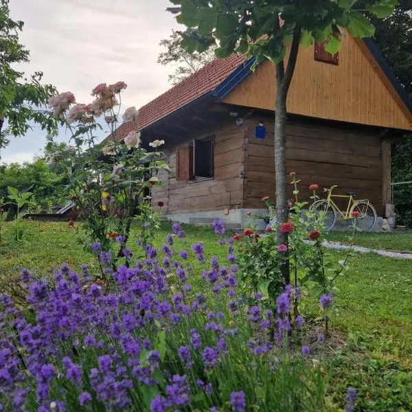Kuća za odmor Josipa，位于Klanjec的酒店