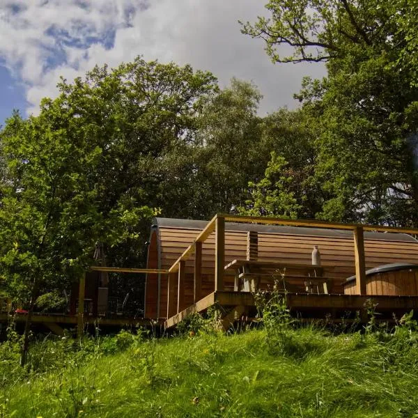 Pods At Buckland's Glamping，位于Handcross的酒店
