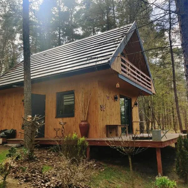 Chatki Bernadki - Siedliska na Roztoczu，位于Siedliska的酒店