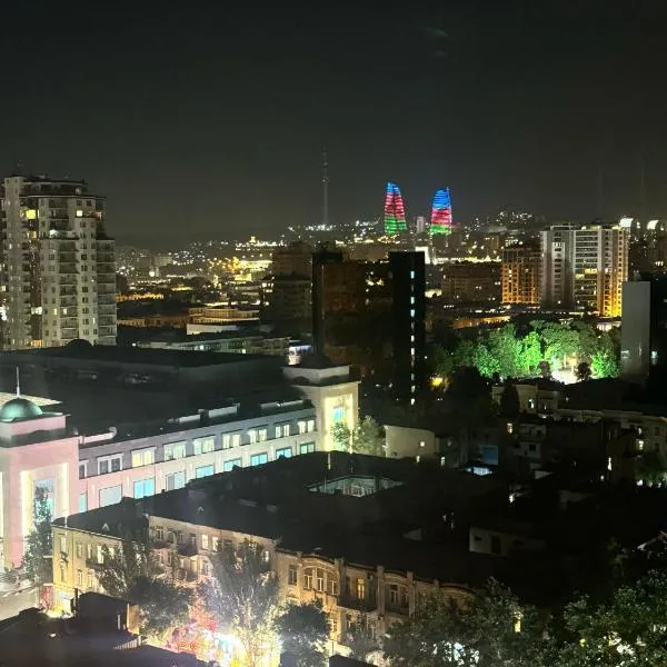 Baku Holiday Luxe Family Apartment，位于巴库的酒店