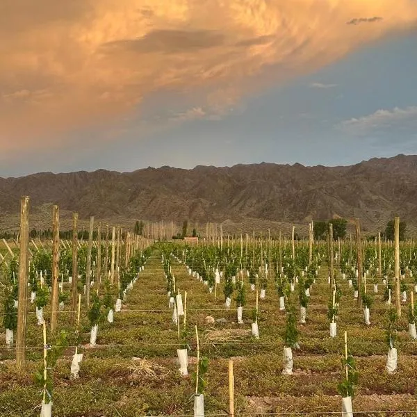 El Refugio，位于Calingasta的酒店