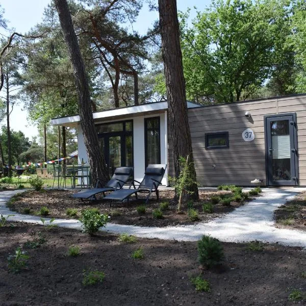 Boshuisje - Bos en Bliss，位于Haarle的酒店