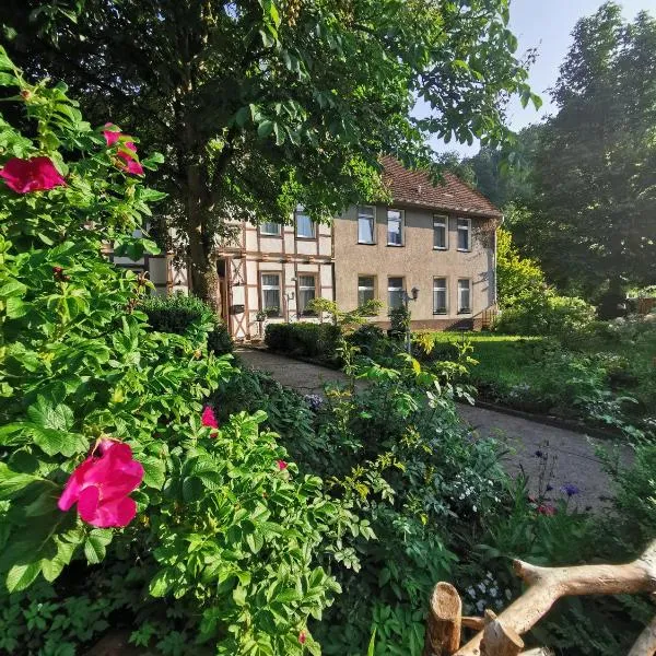 Pension im Tal der Stille - Thale OT Treseburg，位于塔勒的酒店
