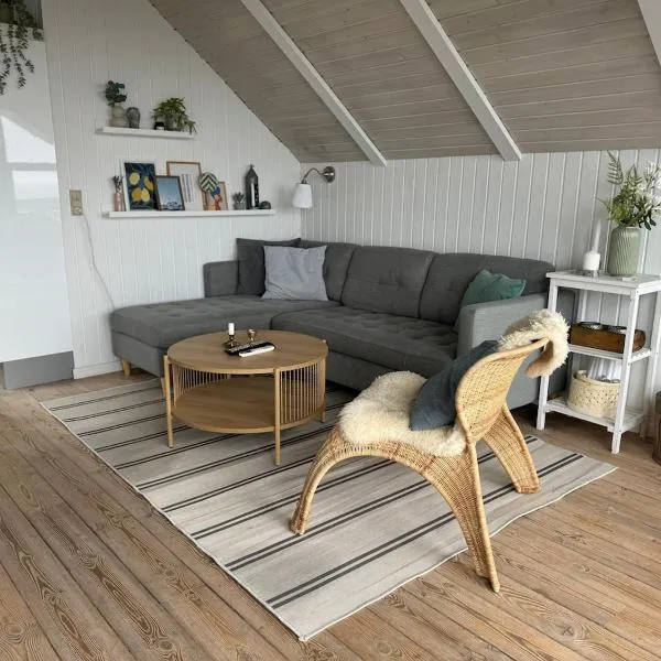 Cozy cottage with sea view，位于埃斯比约的酒店