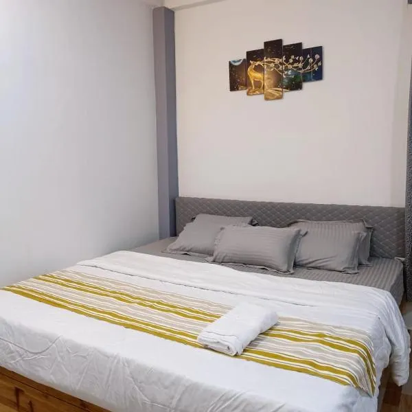 Nesting Abode Homestay，位于乞拉朋齐的酒店