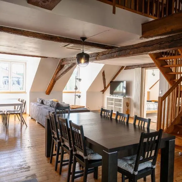 Grand duplex en plein centre，位于塞尔奈的酒店