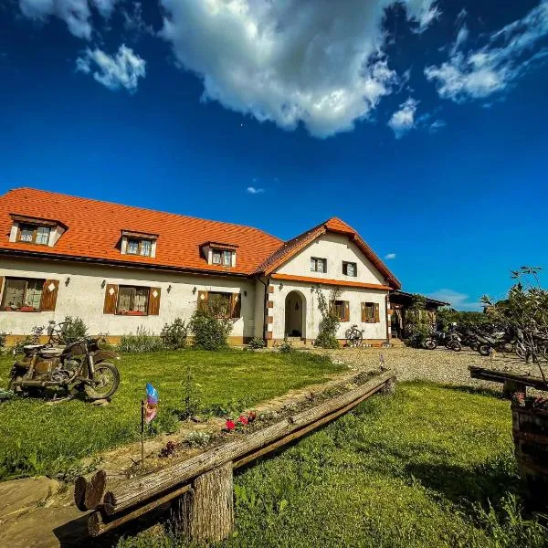 Pensiunea Elena，位于Criţ的酒店