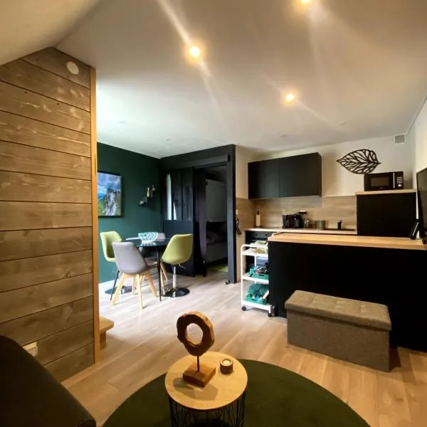 Sommet studio au centre du village，位于韦尔科尔地区朗的酒店