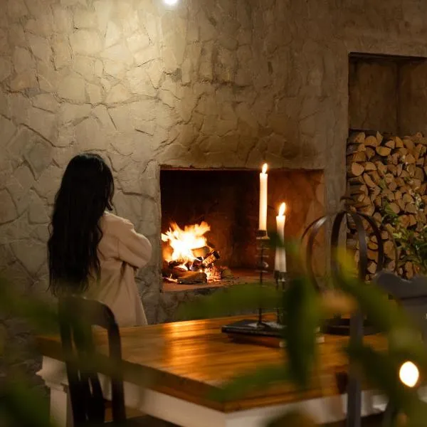 Boutique Guesthouse Hanover，位于汉诺威的酒店