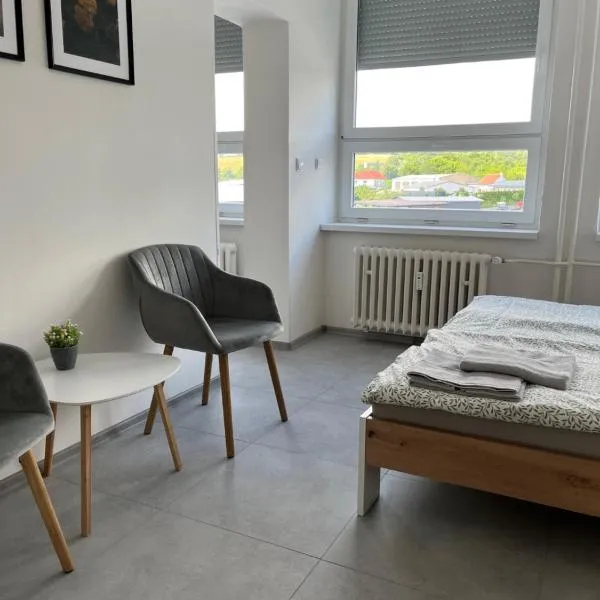 Apartmány pod Radobýlem，位于利托梅日采的酒店