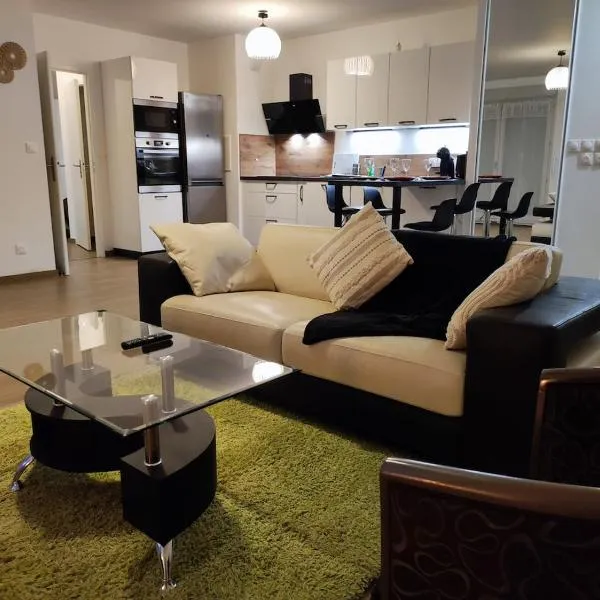 L'AuthentiCité, jardin et parking au centre-ville，位于第戎的酒店