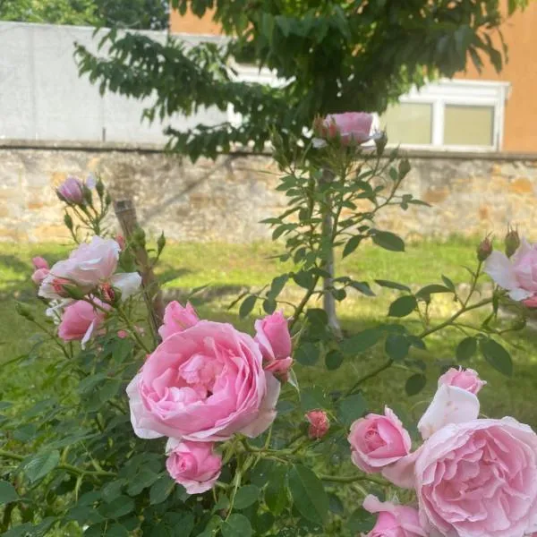 Casa Vacanza Alle Pratoline covered parking for bicycles and motorcycles，位于穆贾的酒店