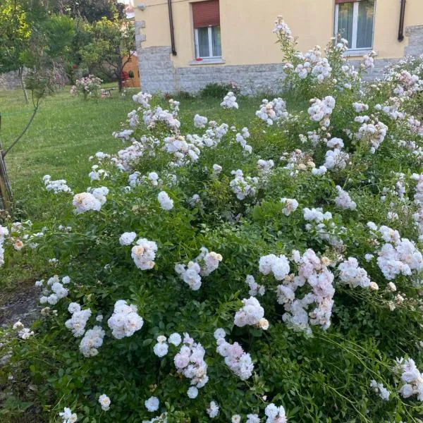 Casa Vacanza Alle Pratoline covered parking for bicycles and motorcycles，位于穆贾的酒店