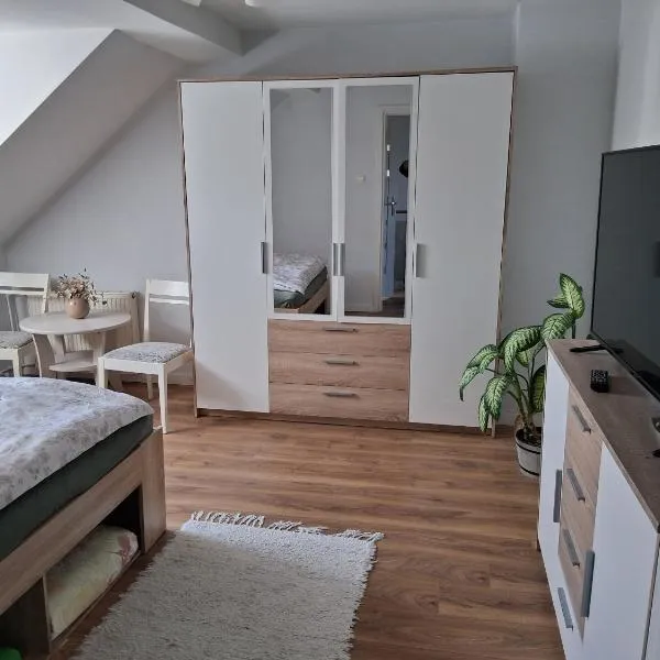 Apartamenty pod lipami，位于奥尔什蒂内克的酒店
