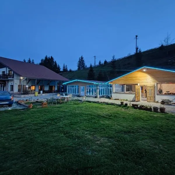 Pensiunea Trei Brazi Arieseni，位于阿列谢尼的酒店