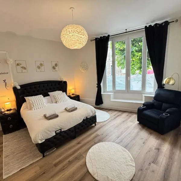 Appartement 1 Climatisé Séjour inoubliable,détente,bain-bulle,un coin de paradis ainsi qu'une terrasse au rdc，位于里摩日的酒店