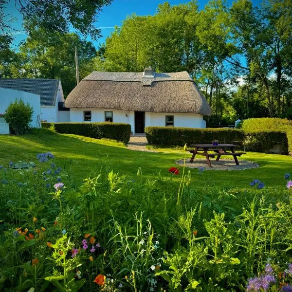 Murphys Thatched Cottage，位于米切尔斯敦的酒店