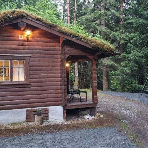 Skogshytte，位于Holmøyane的酒店