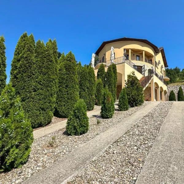 Pensiunea Casa Mircea & Restaurant，位于埃尔埃尼塔的酒店
