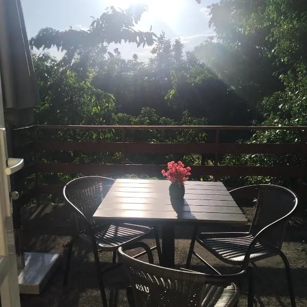 Вила Хармония Harmony Cottage，位于Zhilentsi的酒店