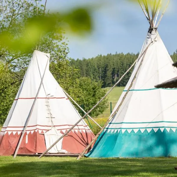 Teepee a karavanové stání Koupálo Janovičky，位于Heřmánkovice的酒店