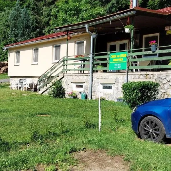 Chata pod lesom，位于莫德拉的酒店