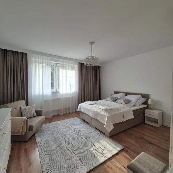 Apartament Pod Kamienną Bramą，位于霍伊尼采的酒店