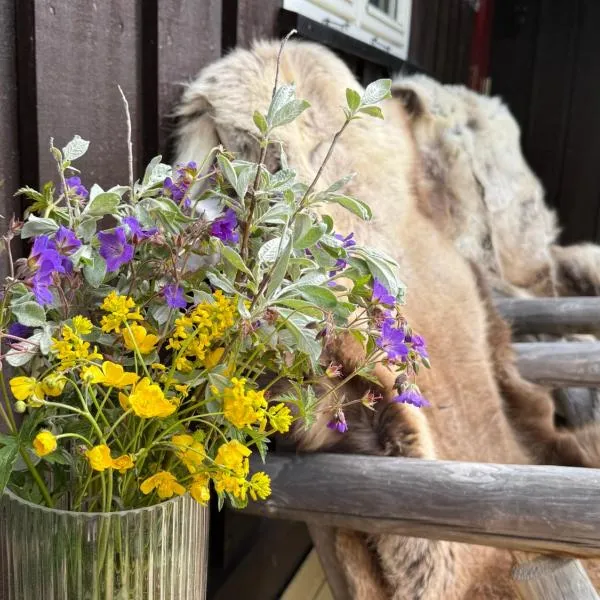 Gausta Lodge med elbillader, nærhet til Gaustatoppen Ski in ski out，位于Gaustablikk的酒店
