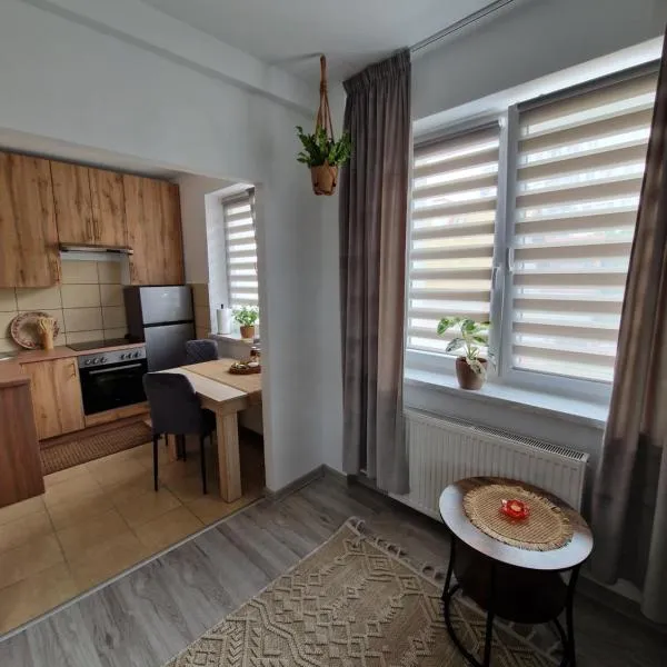 Bajkowe Studio Magdaleny，位于奥尔什丁的酒店