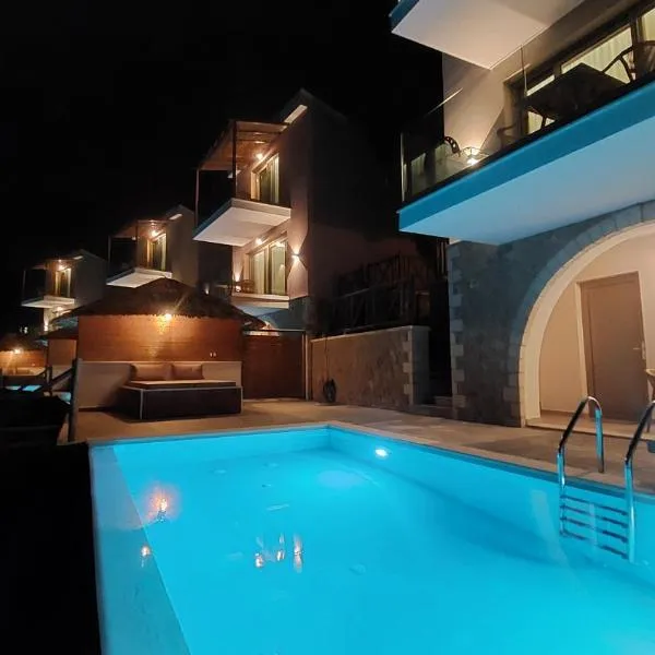 Filoxenia Olive Garden luxury villas and suites，位于帕尔加的酒店