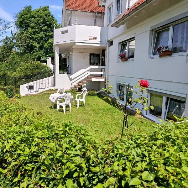 Ferienwohnung Erika，位于巴登韦勒的酒店