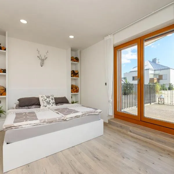 Apartmán Jezerní，位于泽勒兹纳·鲁达的酒店