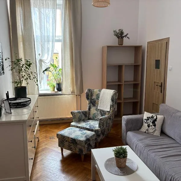 Apartamenty Stare Miasto Boho Parking，位于新松奇的酒店