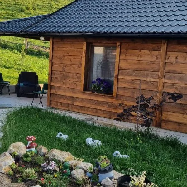 Planinska kuca Gogo，位于库普雷斯的酒店