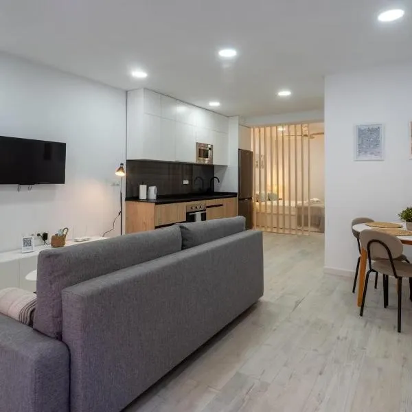 Suite Salengro Gare de Vaise WIfi，位于Vaise的酒店