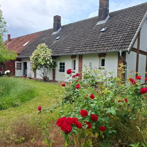 Ferienhaus in Mecklenburg mit gemütlichem Innenhof，位于Rothspalk的酒店