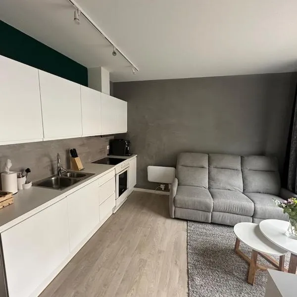 Cozy little apartment in Ålesund,位于奥勒松的酒店