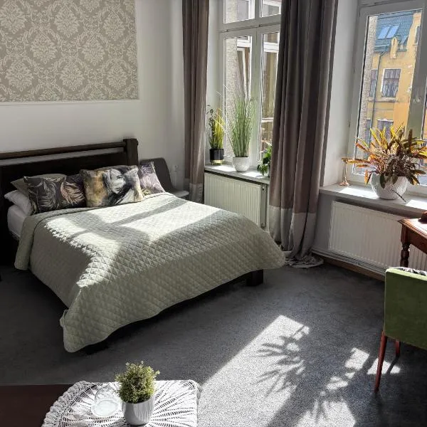 Apartamenty Stare Miasto Jagielloński Parking，位于新松奇的酒店